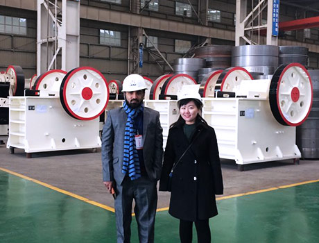 750颚式碎石机的价格趋势分析